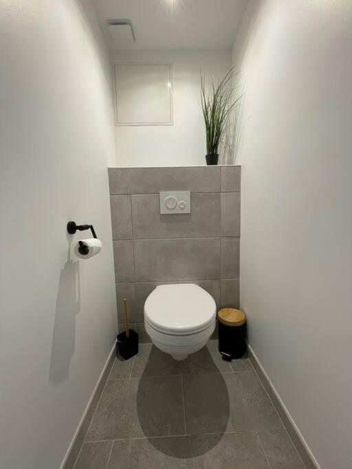 Logement Idealement Situe Sur La Voie Verte Celles-sur-Plaine Dış mekan fotoğraf